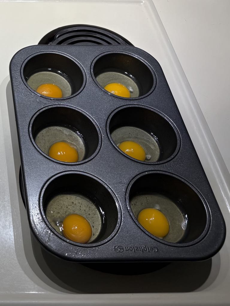 Egg Muffins