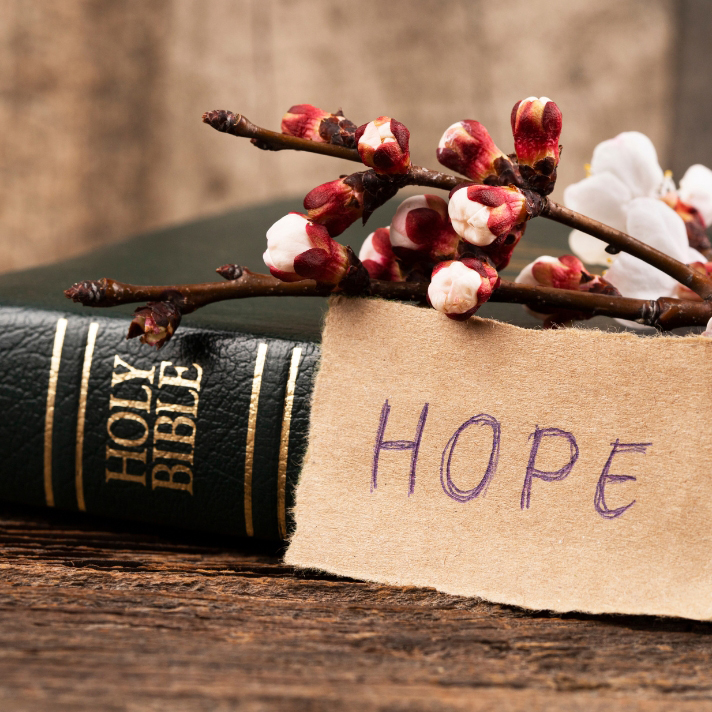 Image for Blog - Verses of Hope - 1 Bible Verses of Hope