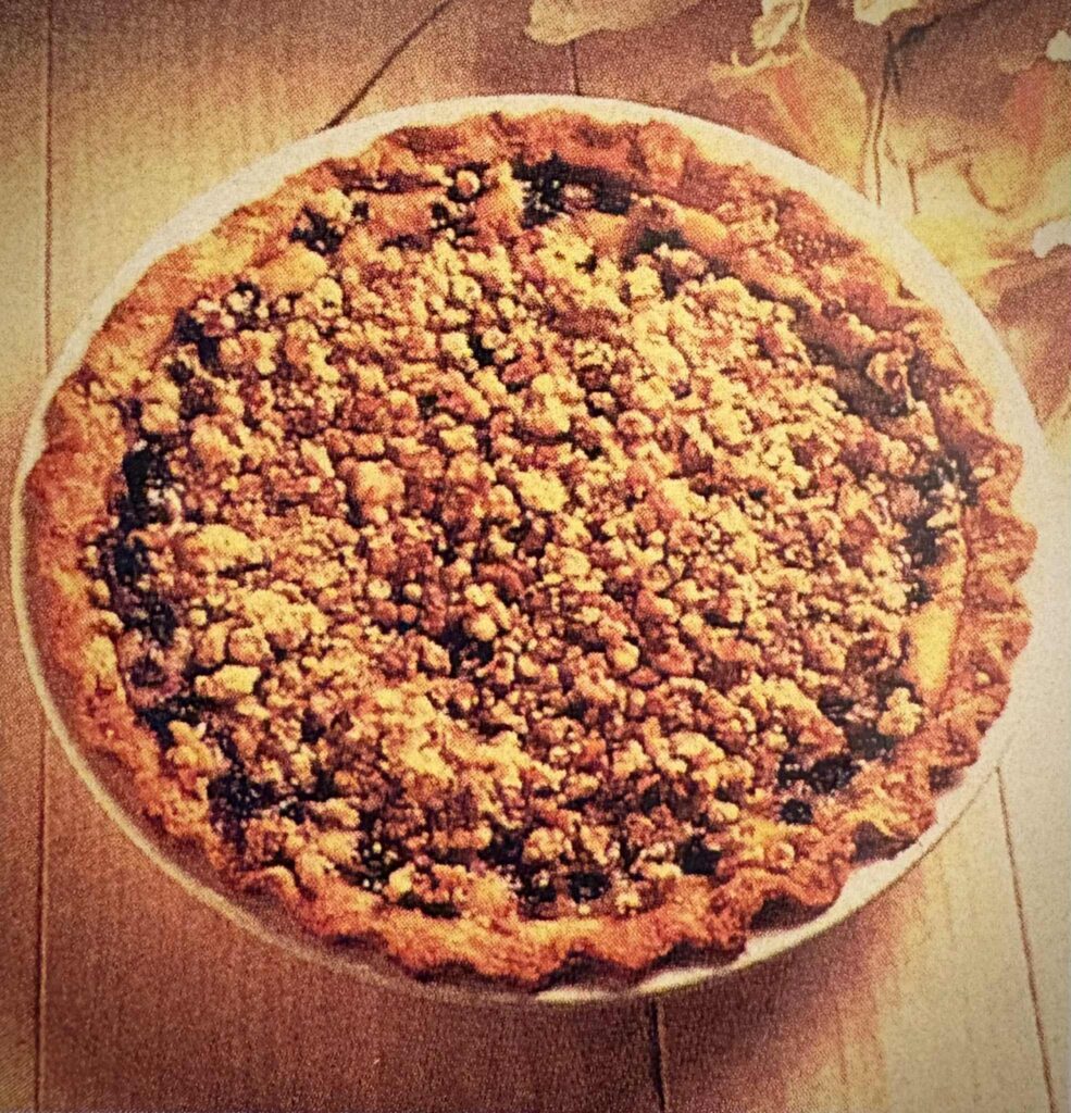 fresh blueberry pie - image